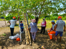 Productores agropecuarios de Piura podrán formalizar asociaciones para acceder a beneficios del Estado Productores agropecuarios de Piura podrán formalizar asociaciones para acceder a beneficios del Estado