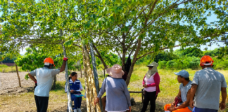 Productores agropecuarios de Piura podrán formalizar asociaciones para acceder a beneficios del Estado Productores agropecuarios de Piura podrán formalizar asociaciones para acceder a beneficios del Estado