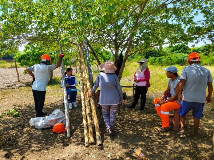Productores agropecuarios de Piura podrán formalizar asociaciones para acceder a beneficios del Estado