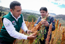 Más de 100 productores de La Libertad se benefician con financiamiento de S/117 mil Más de 100 productores de La Libertad se benefician con financiamiento de S/117 mil