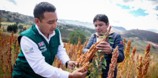 Más de 100 productores de La Libertad se benefician con financiamiento de S/117 mil Más de 100 productores de La Libertad se benefician con financiamiento de S/117 mil