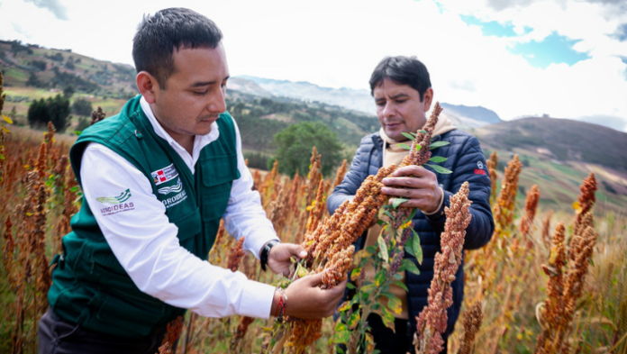 Más de 100 productores de La Libertad se benefician con financiamiento de S/117 mil