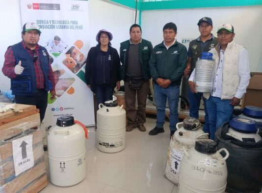 INIA transfiere 2,850 pajillas de semen bovino para fortalecer la ganadería en Apurímac INIA transfiere 2,850 pajillas de semen bovino para fortalecer la ganadería en Apurímac