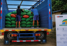 Productores de Tumbes venden 16 toneladas de limón a la agroindustria Productores de Tumbes venden 16 toneladas de limón a la agroindustria
