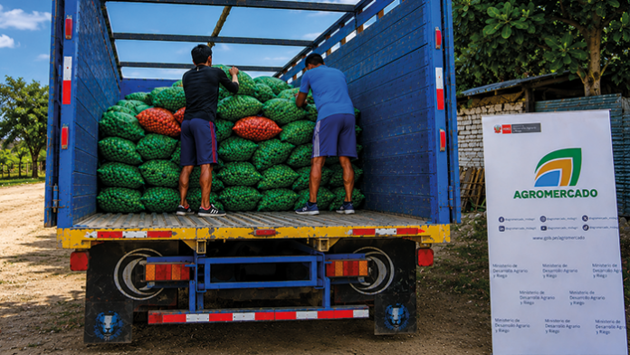 Productores de Tumbes venden 16 toneladas de limón a la agroindustria