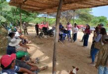 Más de mil productores reciben atención sobre el Seguro Agrícola Catastrófico en Sullana, Paita y Talara Más de mil productores reciben atención sobre el Seguro Agrícola Catastrófico en Sullana, Paita y Talara