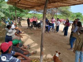 Más de mil productores reciben atención sobre el Seguro Agrícola Catastrófico en Sullana, Paita y Talara Más de mil productores reciben atención sobre el Seguro Agrícola Catastrófico en Sullana, Paita y Talara