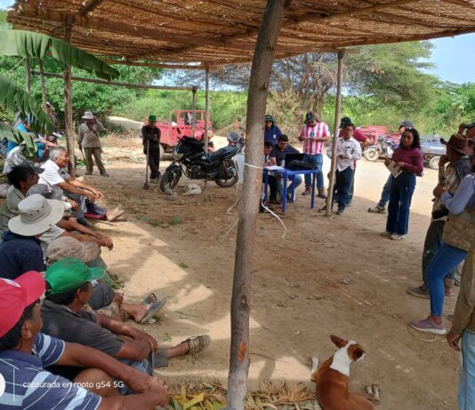 Más de mil productores reciben atención sobre el Seguro Agrícola Catastrófico en Sullana, Paita y Talara Más de mil productores reciben atención sobre el Seguro Agrícola Catastrófico en Sullana, Paita y Talara