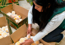 Productores de granadilla de Puno concretan acuerdo comercial para exportar fruta al mercado alemán Productores de granadilla de Puno concretan acuerdo comercial para exportar fruta al mercado alemán