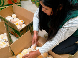 Productores de granadilla de Puno concretan acuerdo comercial para exportar fruta al mercado alemán Productores de granadilla de Puno concretan acuerdo comercial para exportar fruta al mercado alemán