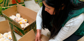 Productores de granadilla de Puno concretan acuerdo comercial para exportar fruta al mercado alemán Productores de granadilla de Puno concretan acuerdo comercial para exportar fruta al mercado alemán