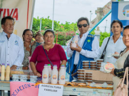 Productores de Piura impulsan negocios agroindustriales con apoyo técnico especializado Productores de Piura impulsan negocios agroindustriales con apoyo técnico especializado
