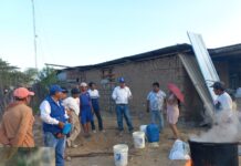 Productores de Tambogrande aprenden técnicas para controlar plagas en cultivos de limón Productores de Tambogrande aprenden técnicas para controlar plagas en cultivos de limón