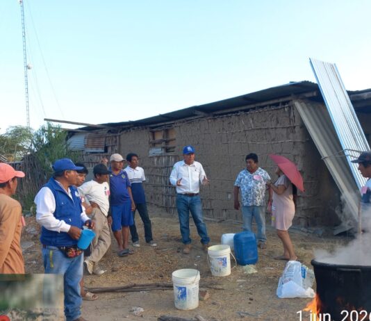 Productores de Tambogrande aprenden técnicas para controlar plagas en cultivos de limón Productores de Tambogrande aprenden técnicas para controlar plagas en cultivos de limón