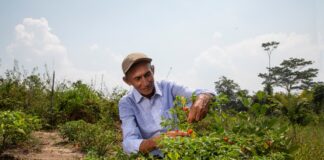 Gobierno destina US$ 26 millones para impulsar la comercialización de la agricultura familiar Gobierno destina US$ 26 millones para impulsar la comercialización de la agricultura familiar