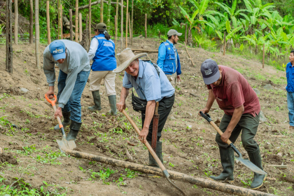 Piura: Más de 140 familias agricultoras de Frías reciben apoyo para diversificar sus cultivos