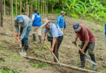 Piura: Más de 140 familias agricultoras de Frías reciben apoyo para diversificar sus cultivos Piura: Más de 140 familias agricultoras de Frías reciben apoyo para diversificar sus cultivos