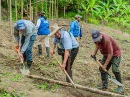 Piura: Más de 140 familias agricultoras de Frías reciben apoyo para diversificar sus cultivos Piura: Más de 140 familias agricultoras de Frías reciben apoyo para diversificar sus cultivos
