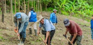 Piura: Más de 140 familias agricultoras de Frías reciben apoyo para diversificar sus cultivos Piura: Más de 140 familias agricultoras de Frías reciben apoyo para diversificar sus cultivos