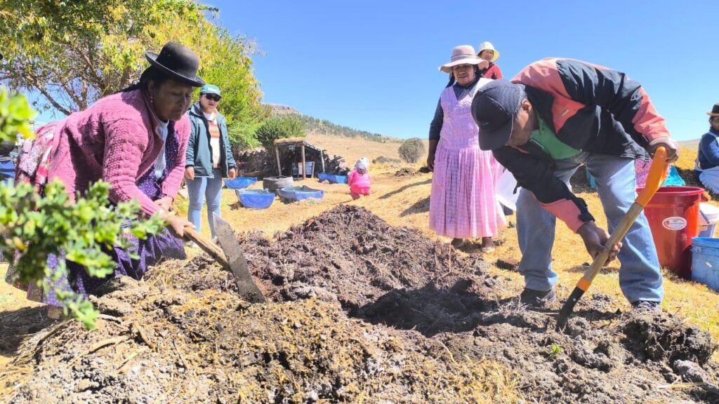 Transfieren tecnologías para conservación del suelo en cultivos de papa, quinua y alfalfa en Puno