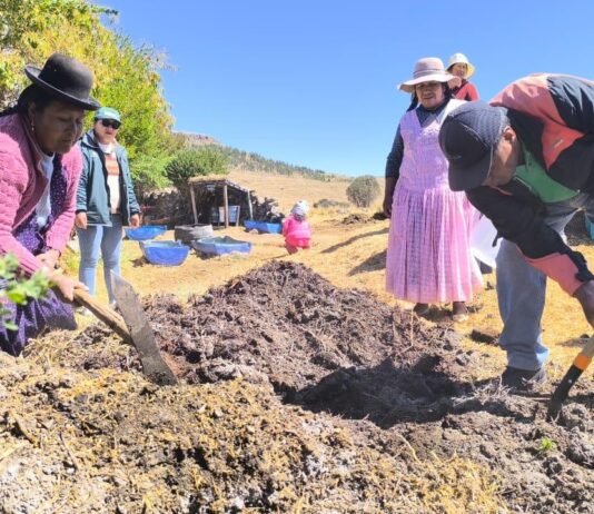 Transfieren tecnologías para conservación del suelo en cultivos de papa, quinua y alfalfa en Puno Transfieren tecnologías para conservación del suelo en cultivos de papa, quinua y alfalfa en Puno