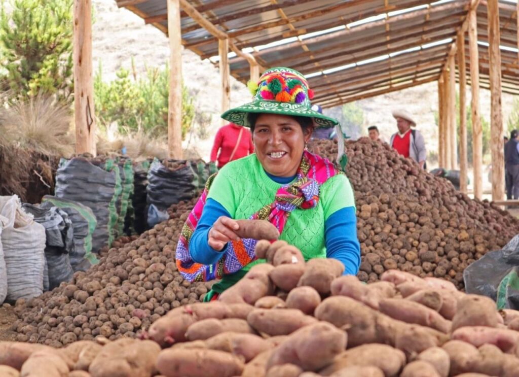 Gobierno aprueba reglamento para promover la industrialización y exportación de la papa