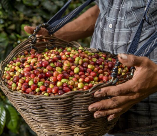 Agroexportaciones peruanas alcanzaron US$ 3,899 millones entre enero y abril de 2026 Agroexportaciones peruanas alcanzaron US$ 3,899 millones entre enero y abril de 2026