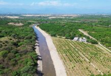 Más de 6,600 hectáreas agrícolas serán protegidas con trabajos de prevención en Piura y Tumbes Más de 6,600 hectáreas agrícolas serán protegidas con trabajos de prevención en Piura y Tumbes