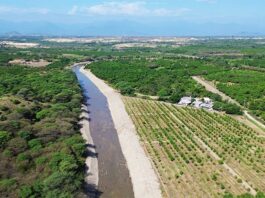 Más de 6,600 hectáreas agrícolas serán protegidas con trabajos de prevención en Piura y Tumbes Más de 6,600 hectáreas agrícolas serán protegidas con trabajos de prevención en Piura y Tumbes