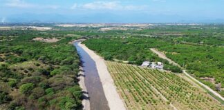 Más de 6,600 hectáreas agrícolas serán protegidas con trabajos de prevención en Piura y Tumbes Más de 6,600 hectáreas agrícolas serán protegidas con trabajos de prevención en Piura y Tumbes