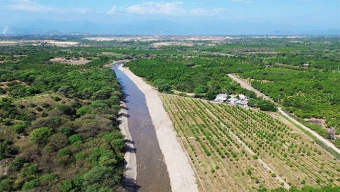 Más de 6,600 hectáreas agrícolas serán protegidas con trabajos de prevención en Piura y Tumbes Más de 6,600 hectáreas agrícolas serán protegidas con trabajos de prevención en Piura y Tumbes