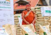 Productores cafetaleros de Pasco reciben fertilizante para enfrentar la roya amarilla Productores cafetaleros de Pasco reciben fertilizante para enfrentar la roya amarilla