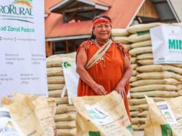 Productores cafetaleros de Pasco reciben fertilizante para enfrentar la roya amarilla Productores cafetaleros de Pasco reciben fertilizante para enfrentar la roya amarilla