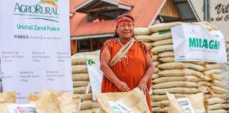 Productores cafetaleros de Pasco reciben fertilizante para enfrentar la roya amarilla Productores cafetaleros de Pasco reciben fertilizante para enfrentar la roya amarilla