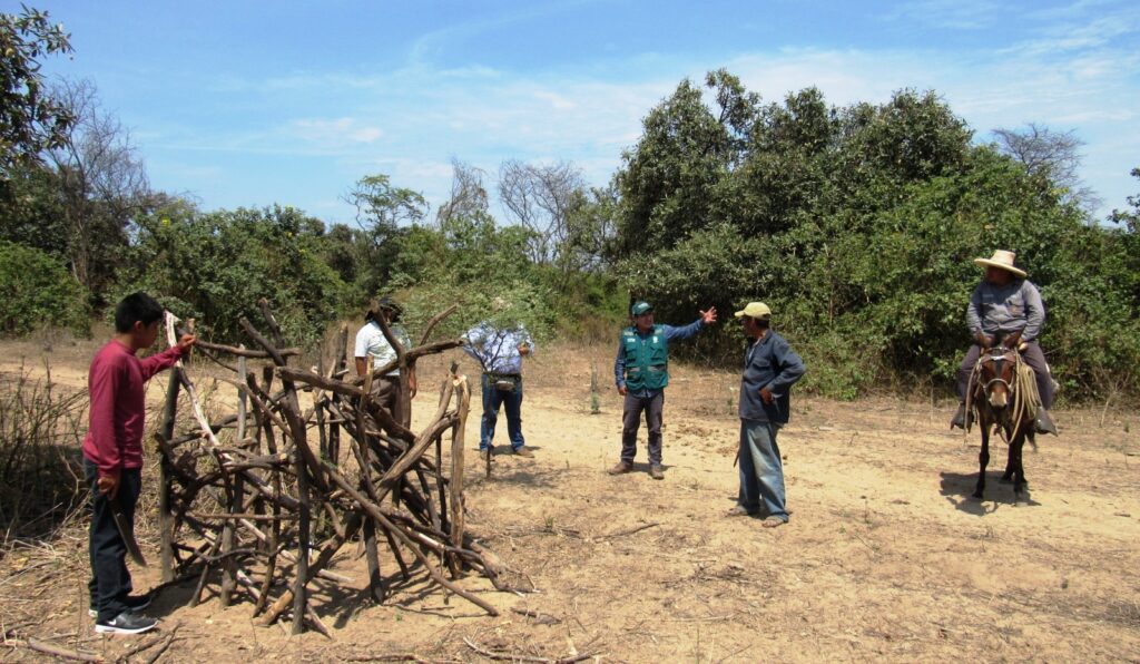 Impulsan proyecto para conservar y gestionar bosques secos en Piura y Tumbes Impulsan proyecto para conservar y gestionar bosques secos en Piura y Tumbes