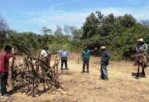 Impulsan proyecto para conservar y gestionar bosques secos en Piura y Tumbes Impulsan proyecto para conservar y gestionar bosques secos en Piura y Tumbes
