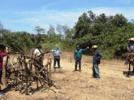 Impulsan proyecto para conservar y gestionar bosques secos en Piura y Tumbes Impulsan proyecto para conservar y gestionar bosques secos en Piura y Tumbes
