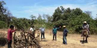 Impulsan proyecto para conservar y gestionar bosques secos en Piura y Tumbes Impulsan proyecto para conservar y gestionar bosques secos en Piura y Tumbes