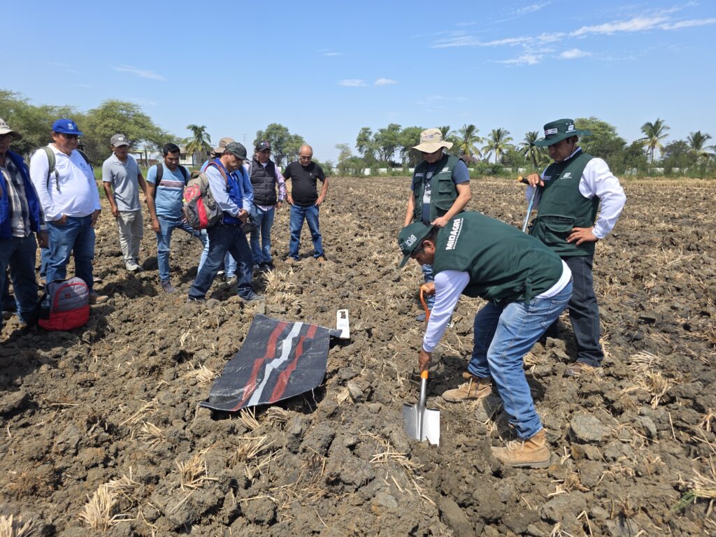 Fortalecen análisis de suelos para mejorar productividad agrícola en Piura