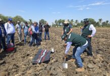 Fortalecen análisis de suelos para mejorar productividad agrícola en Piura Fortalecen análisis de suelos para mejorar productividad agrícola en Piura