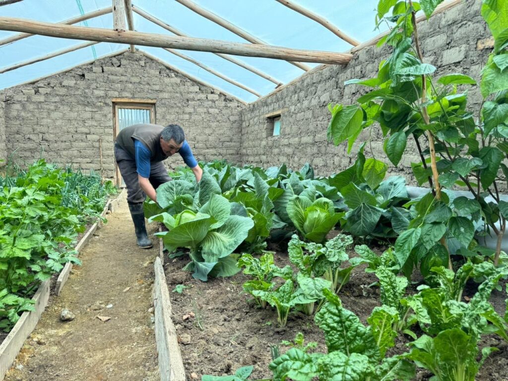 Midagri instalará 3,290 fitotoldos para proteger cultivos de familias altoandinas