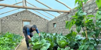 Midagri instalará 3,290 fitotoldos para proteger cultivos de familias altoandinas Midagri instalará 3,290 fitotoldos para proteger cultivos de familias altoandinas