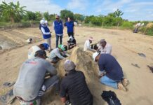 Productores de limón en Castilla acceden a vivero frutícola para mejorar su producción agrícola Productores de limón en Castilla acceden a vivero frutícola para mejorar su producción agrícola
