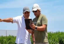 Drones, satélites e inteligencia artificial transforman la agricultura en Perú Drones, satélites e inteligencia artificial transforman la agricultura en Perú