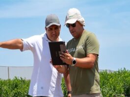 Drones, satélites e inteligencia artificial transforman la agricultura en Perú Drones, satélites e inteligencia artificial transforman la agricultura en Perú