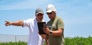 Drones, satélites e inteligencia artificial transforman la agricultura en Perú Drones, satélites e inteligencia artificial transforman la agricultura en Perú