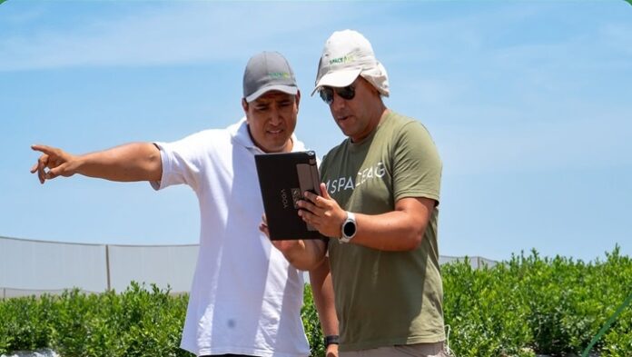 Drones, satélites e inteligencia artificial transforman la agricultura en Perú