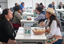 Agromercado generó ventas por S/ 12.9 millones para productores agrarios en los primeros cinco meses de 2026 Agromercado generó ventas por S/ 12.9 millones para productores agrarios en los primeros cinco meses de 2026