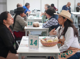 Agromercado generó ventas por S/ 12.9 millones para productores agrarios en los primeros cinco meses de 2026 Agromercado generó ventas por S/ 12.9 millones para productores agrarios en los primeros cinco meses de 2026