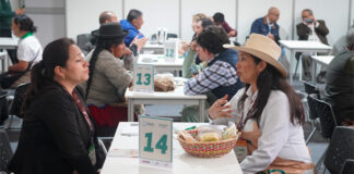 Agromercado generó ventas por S/ 12.9 millones para productores agrarios en los primeros cinco meses de 2026 Agromercado generó ventas por S/ 12.9 millones para productores agrarios en los primeros cinco meses de 2026